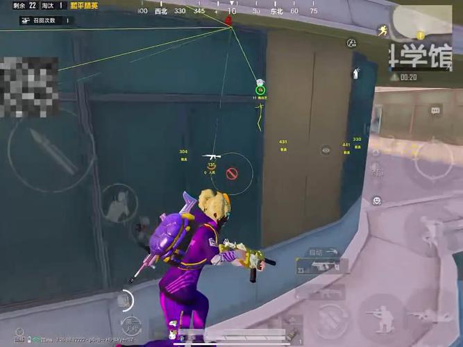 深入了解和平精英辅助现象:技术创新与社会影